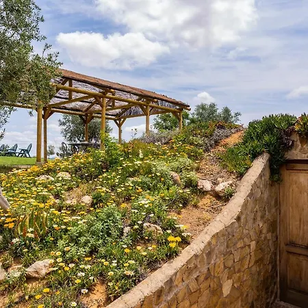 Holiday home Picazas Penarroya-Pueblonuevo