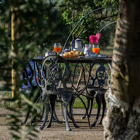 Holiday home Picazas Penarroya-Pueblonuevo