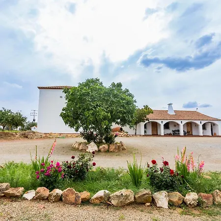 Picazas Penarroya-Pueblonuevo