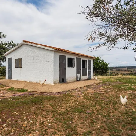 Picazas Penarroya-Pueblonuevo